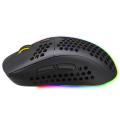 RGB 2.4GHz Wireless Gaming Mouse With 6D