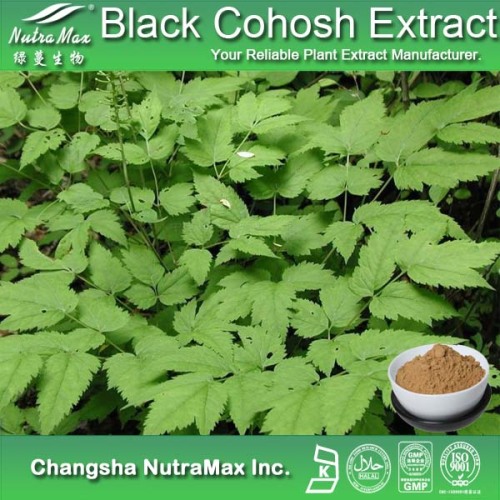 100% Natural Black Cohosh Root Extract (1% -20% Triterpene Glycosides)