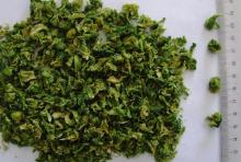 dehydrated broccoli new crop