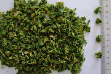 dehydrated broccoli new crop
