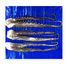 Cheap delicious dried seafood top quality squid tentacle,new arrival top grade frozen squid tentacle