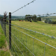concertina barbed wire mesh fencing per roll