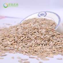 Raw Sunflower seed kernals