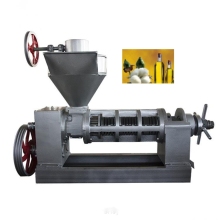 Affordable Peanut and Vegetable Oil Extraction Machines for Groundnut Oil Processing