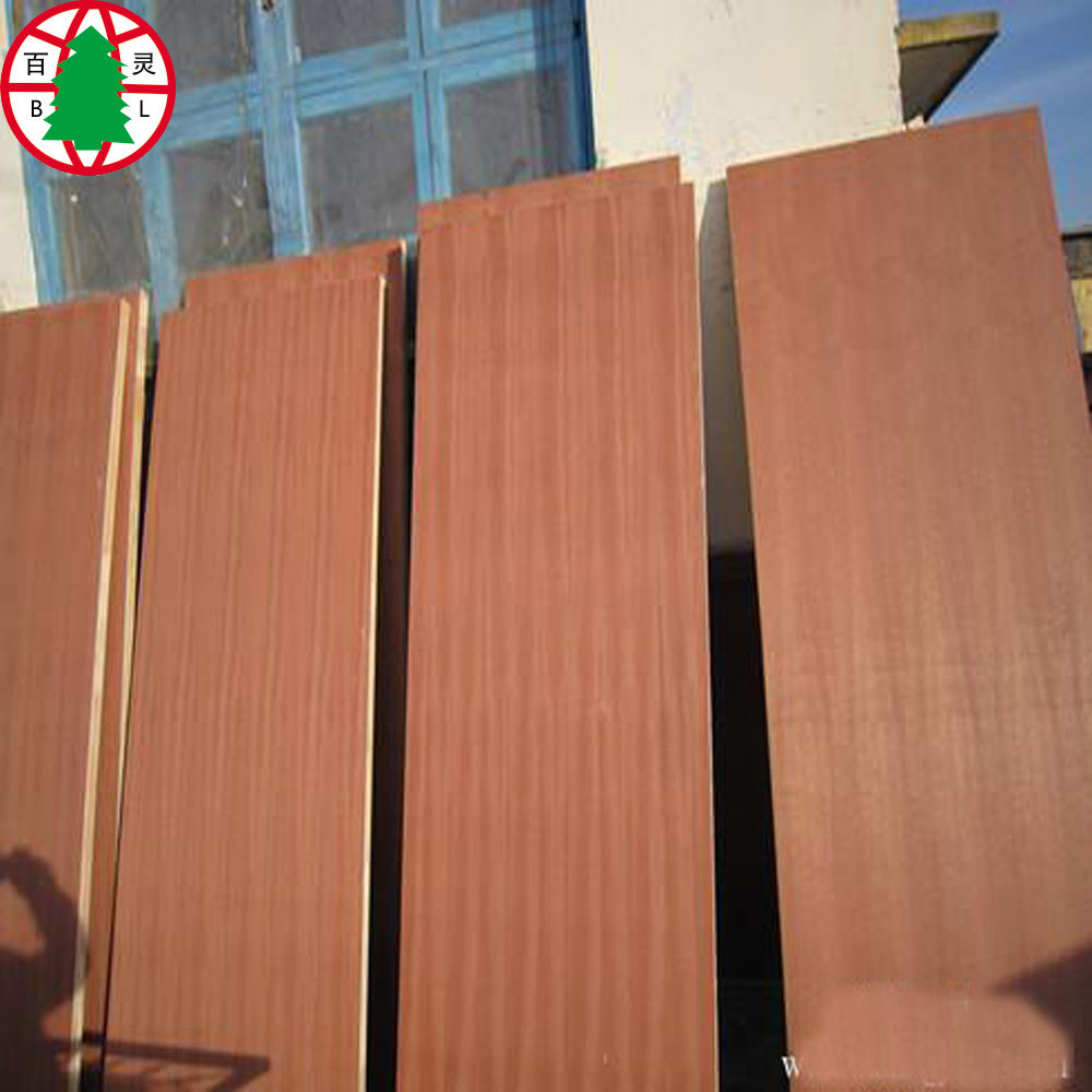 Saplei Mdf 5