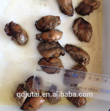 Good quality delicious canned Smoked Oyster /canned shell fish