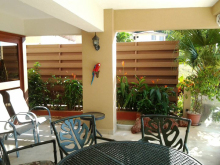 Wood-Plastic Composite Fence