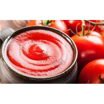 100g Conventional Sachet Tomato Paste
