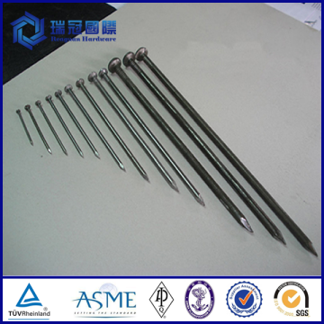 high quality horseshoe nails for sale A/E style/steel horseshoe nails/nail