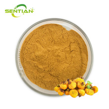 High-Quality Tribulus terrestris Extract