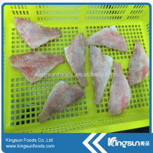 New Coming Fish Atlantic Red Fish In Good Price