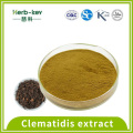 10:1 Clematidis extract powder 0.2% Anemonin