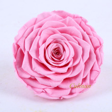 Culinan Grade A Wholesale Preserved Rose Garland for Online Flower Business