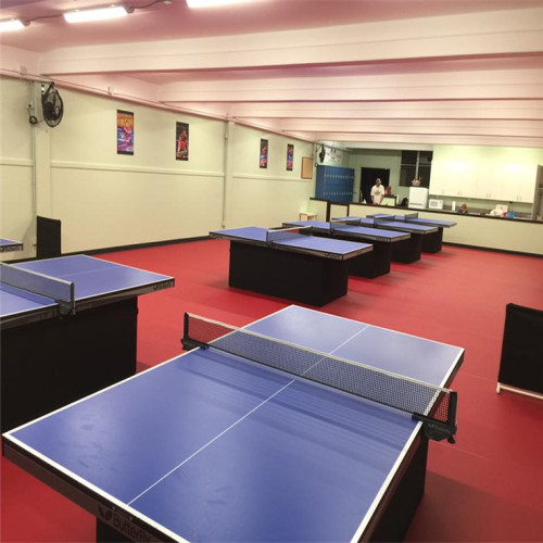 Table Tennis Flooring ITTF