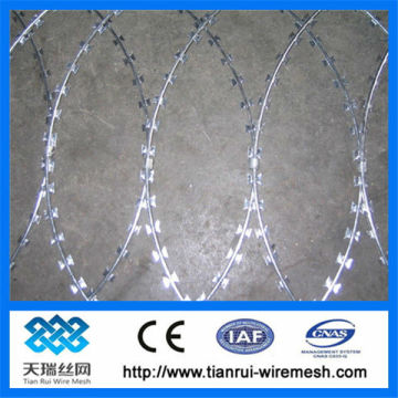 barbed wire fence/barbed wire price