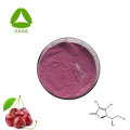 Suplemento nutricional Acerola Cherry Extract Vitamina C