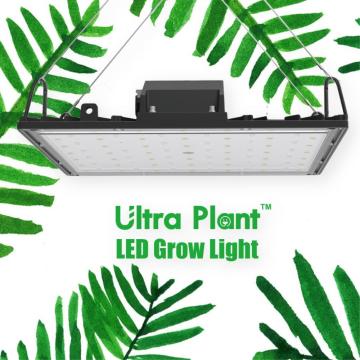 Far Red Dikey Tarım LED Grow Light