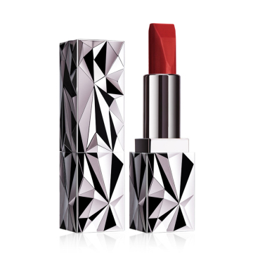 Custom Makeup Lipsticks Logo Customize Brand Matte