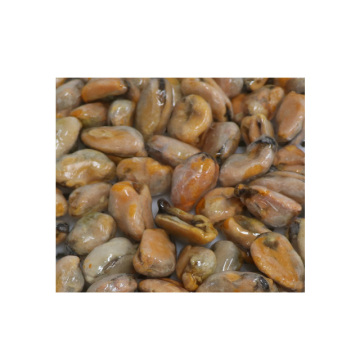 Frozen Cooked Mussel Meat At Lower Price