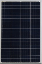120W Poly Solar Panel