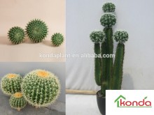 Hot selling artificial plants and trees,cheap artificial plant,plastic mini cactus,decorating with fake cactus