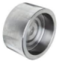 Forged Pipe Fitting &amp; Olets