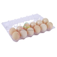 Wholesale Clear 12 Cell Plastic Egg Trays - Large Size