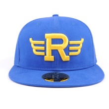 custom 3D puff embroidery snapback hat cap