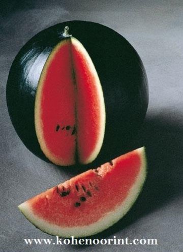 WATER MELON SEEDS ( SUGAR BABY)