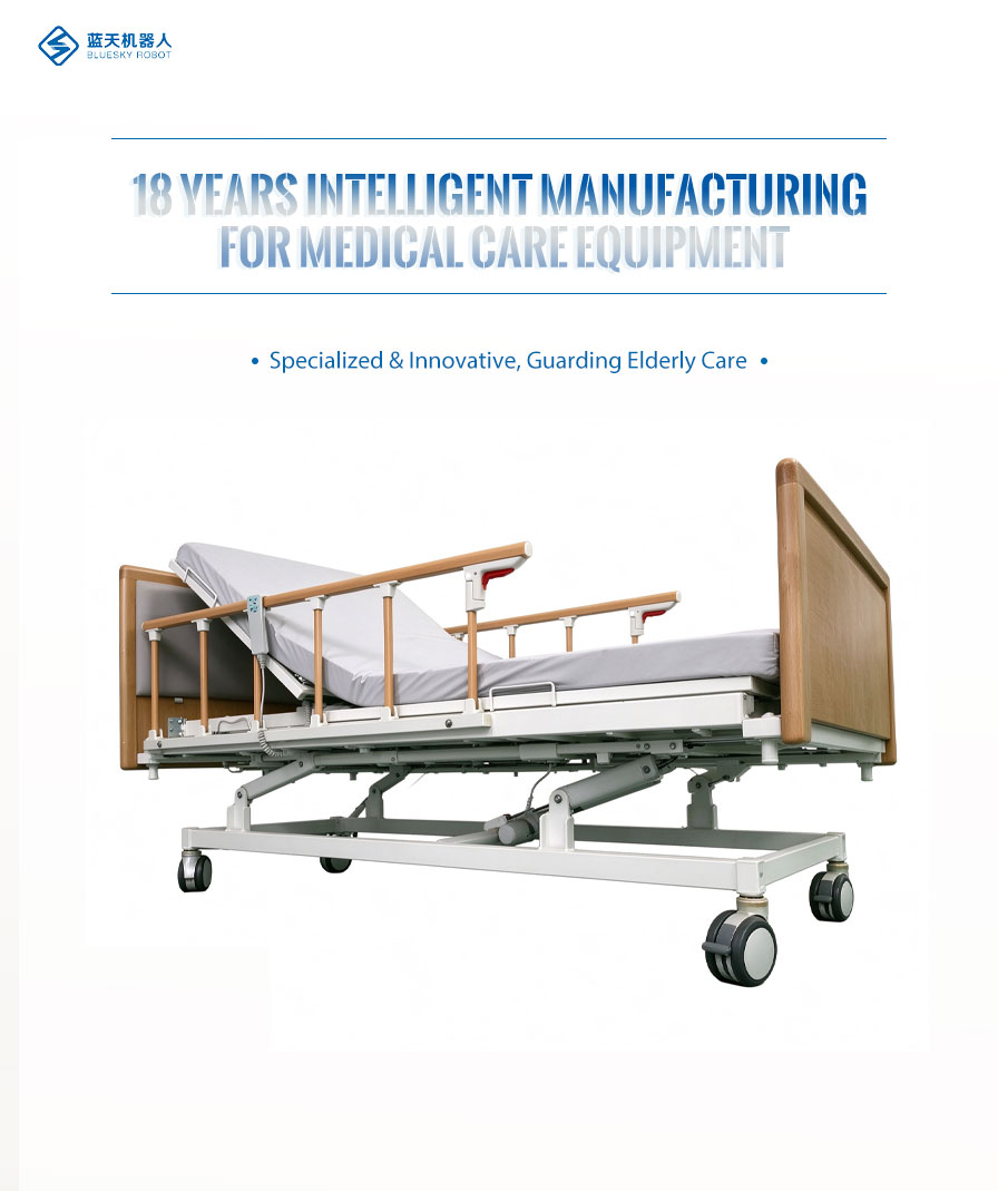 Cama funcional de grado médico 2 Medical Grade 2 Function Bed