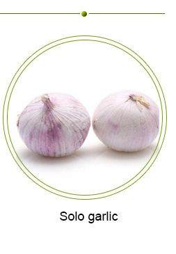 Vacuum bag packaging peeled garlic