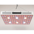 Shenzhen Best Price Grow Lighting 2022