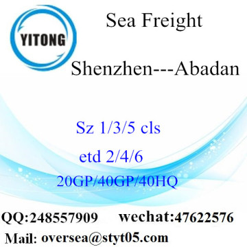 Shenzhen Port Sea Freight Shipping Para Abadan