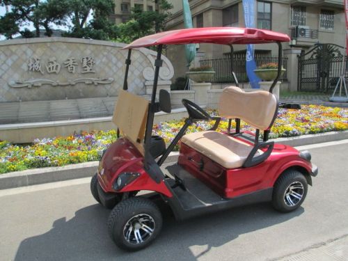 2-osobowe mini wózki golfowe