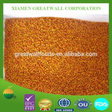 Frozen sea buckthorn berry with best price