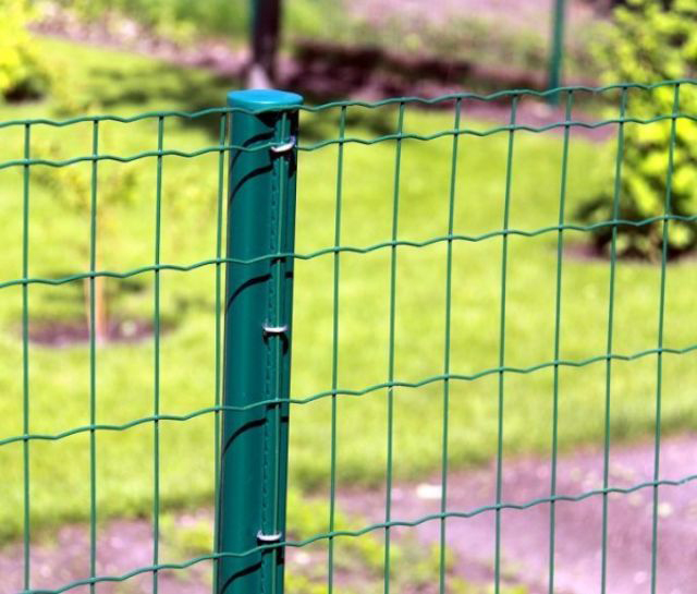 Cheap livestock holland mesh fence euro fence for sale