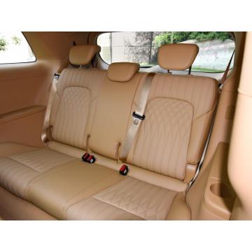 Voyah Dreamer MPV 5 дверной 7 сидений Электромобиль и нефтяные гибридные двигатели.