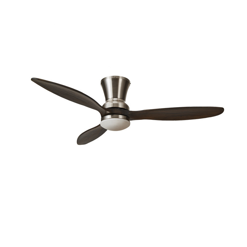 Decorative Electric Ceiling Light Fans