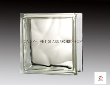 Cloudy Hollow Glass Bricks