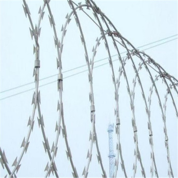 Low price hot dipped galvanized razor barbed wire