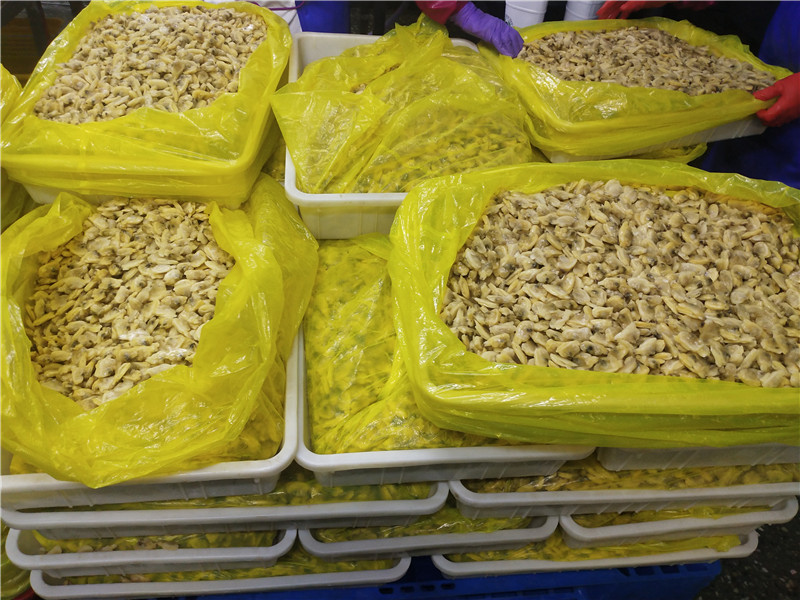 Mięso małży w skorupiakach