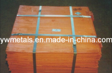 Lme Registered Grade a Copper Cathodes 99.99%