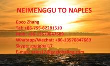 Mainland Neimenggu Sea Freight to Italy Naples