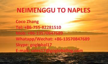 Mainland Neimenggu Sea Freight to Italy Naples