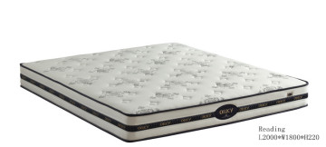 Non-toxic Natural Coconut Fibre Mattress