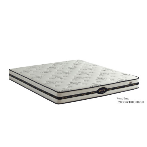 Non-toxic Natural Coconut Fibre Mattress