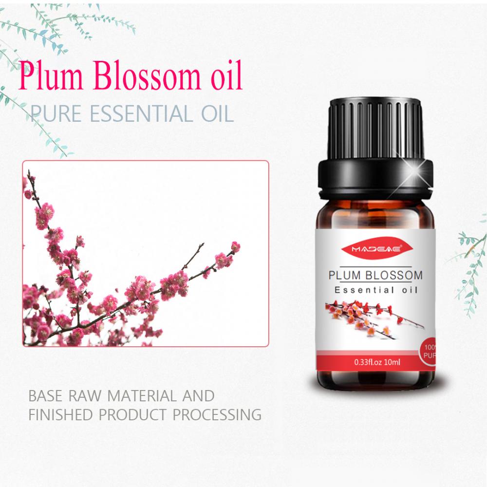 Aromaterapi Plum Blossom Essential Oil untuk kulit