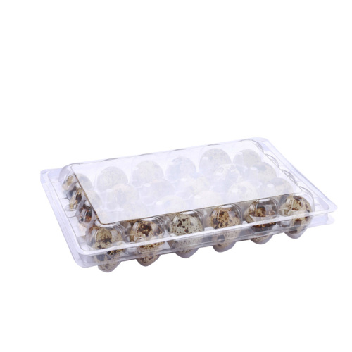 透明なクラムシェルプラスチックブリスターウズラの卵トレイ