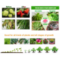 Best LED Grow Lights untuk Basement Veg &amp; Plant Buah