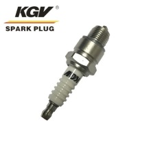 Small Engine Iridium Spark Plug HIX-B7.